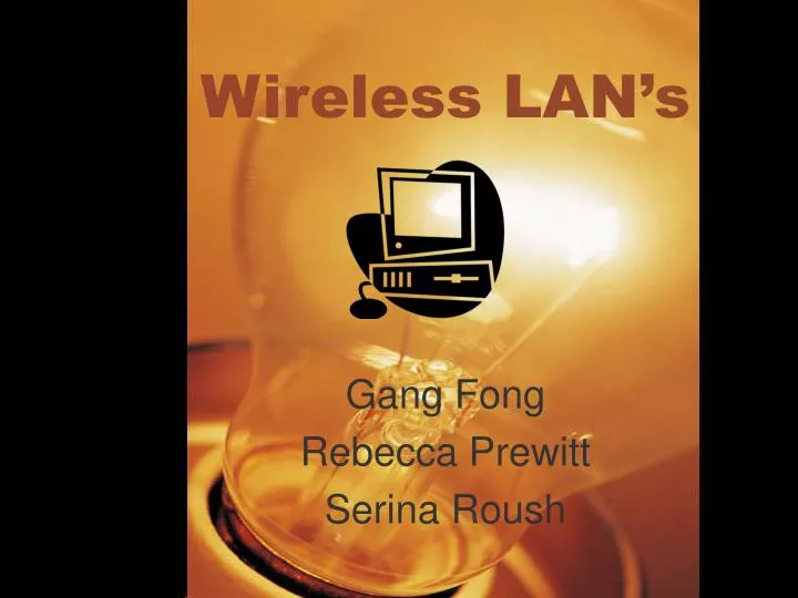 wireless lan s