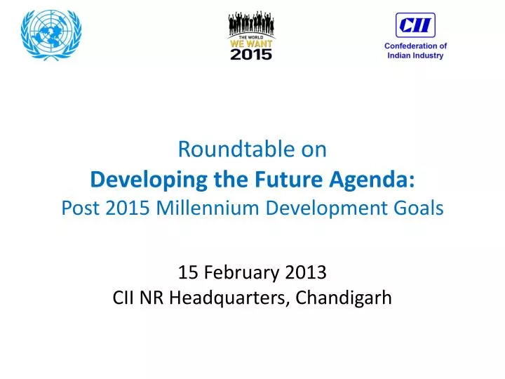 roundtable on developing the future agenda post 2015 millennium development goals
