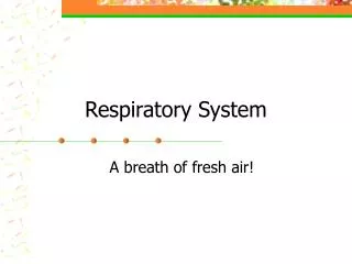 Respiratory System