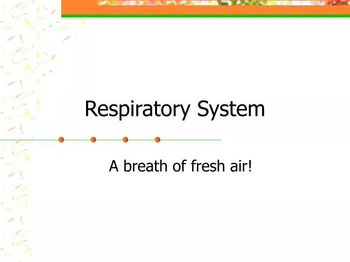 respiratory system