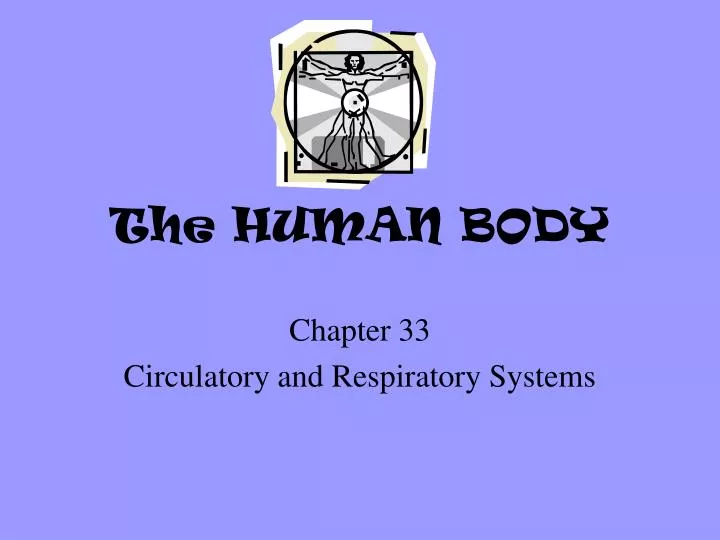 the human body