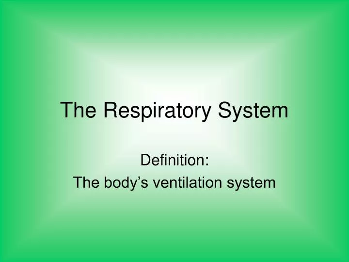 the respiratory system