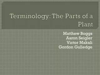 Terminology: The Parts of a Plant