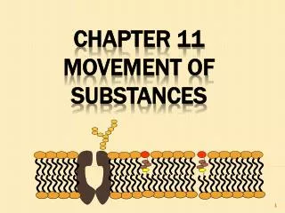 Chapter 11 Movement of Substances