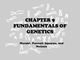 CHAPTER 9 FUNDAMENTALS OF GENETICS