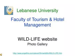 WILD-LIFE website