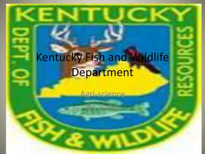 kentucky fish and wildlife department