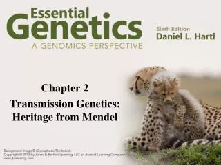 Chapter 2 Transmission Genetics: Heritage from Mendel