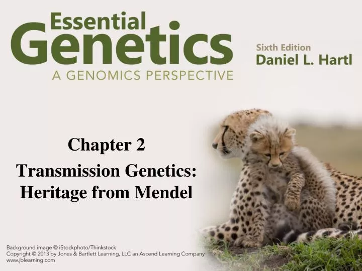 chapter 2 transmission genetics heritage from mendel