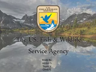 The US. Fish &amp; Wildlife Service Agency