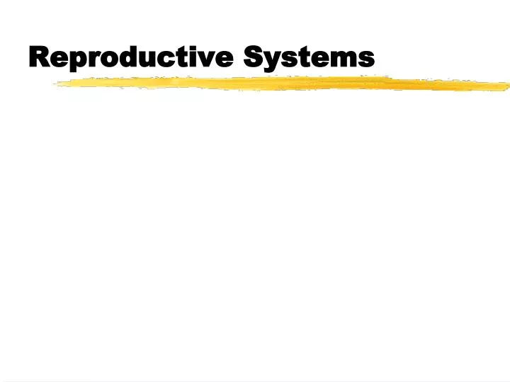 reproductive systems