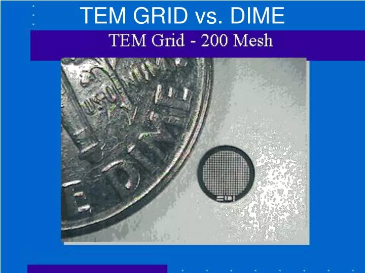 tem grid vs dime