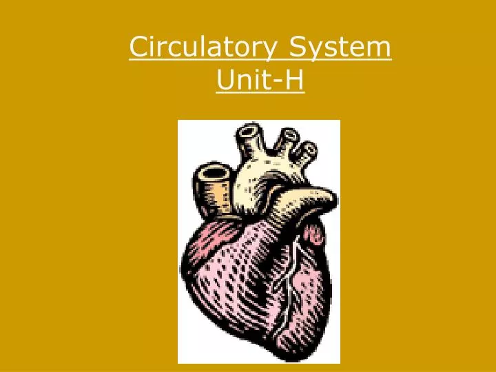 circulatory system unit h