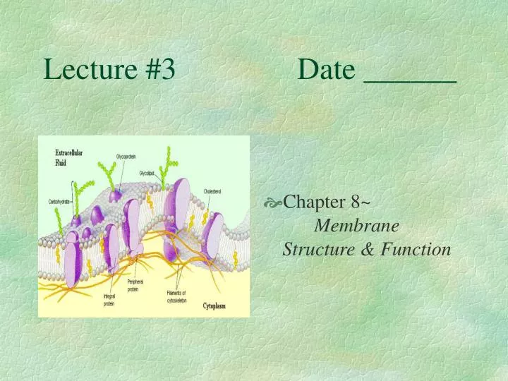 lecture 3 date