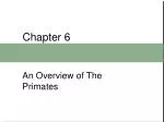 Chapter 6 - slide 1