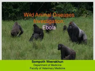Wild Animal Diseases Investigation: Ebola