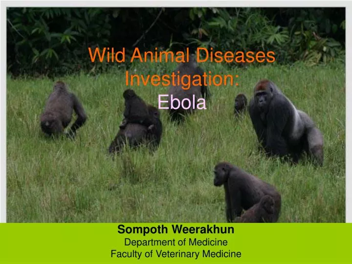 wild animal diseases investigation ebola