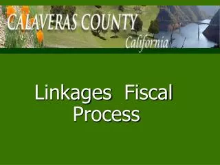 Linkages Fiscal Process