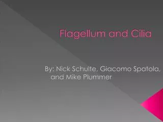 Flagellum and Cilia