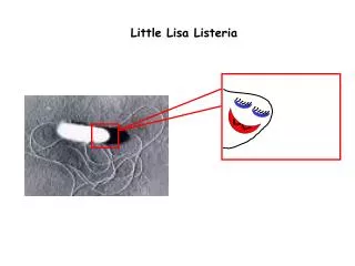 Little Lisa Listeria