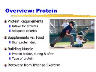 Overview: Protein