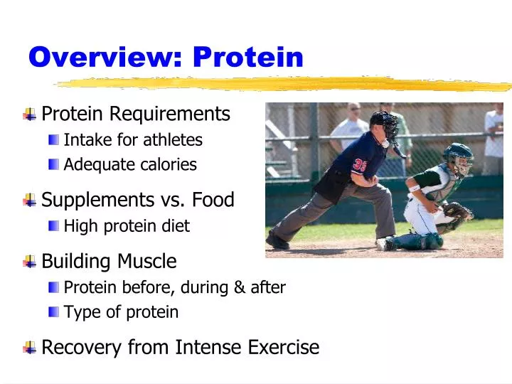 overview protein