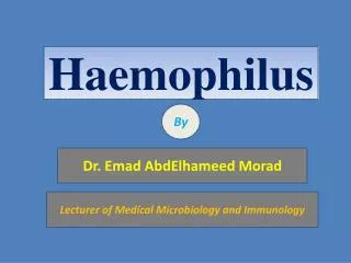 Haemophilus