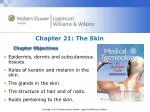 Chapter Objectives - slide 1