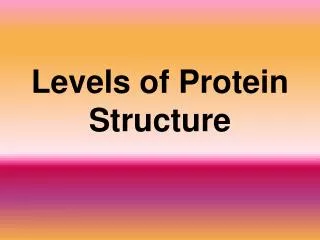 Levels of Protein Structure