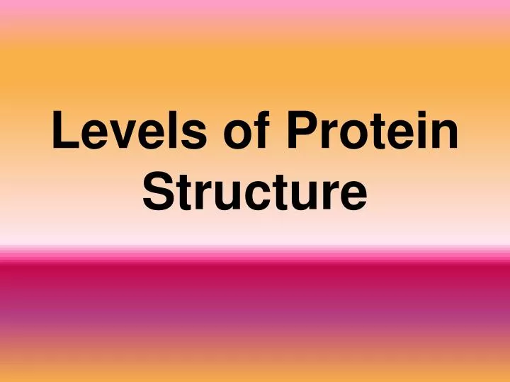 levels of protein structure