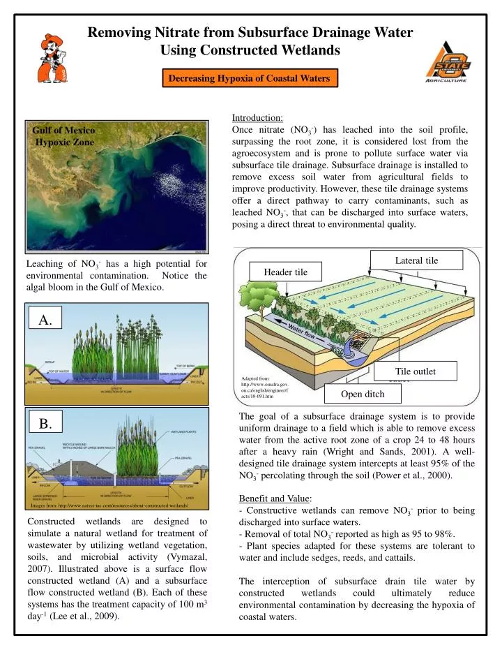 removing nitrate from subsurface drainage water using constructed wetlands