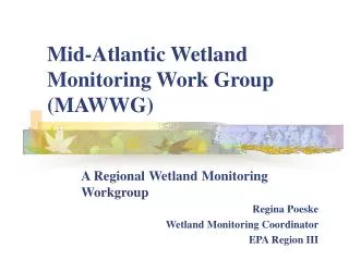 Mid-Atlantic Wetland Monitoring Work Group (MAWWG)