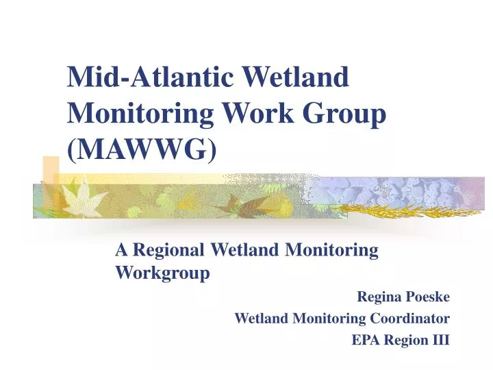 mid atlantic wetland monitoring work group mawwg
