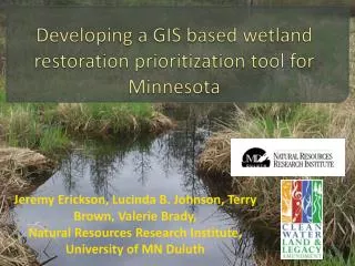 Developing a GIS based wetland restoration prioritization tool for Minnesota