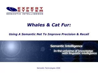Whales &amp; Cat Fur: Using A Semantic Net To Improve Precision &amp; Recall