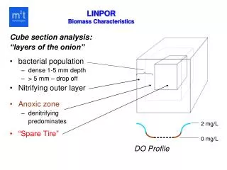 LINPOR Biomass Characteristics