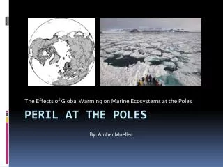 Peril at the Poles