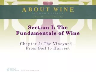 Section I: The Fundamentals of Wine