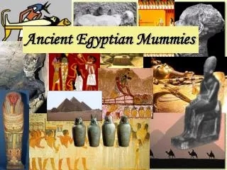 Ancient Egyptian Mummies