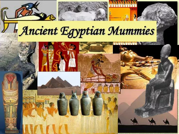 ancient egyptian mummies