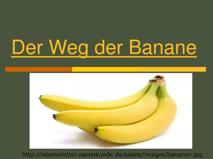 der weg der banane