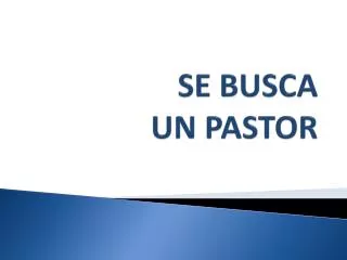 se busca un pastor