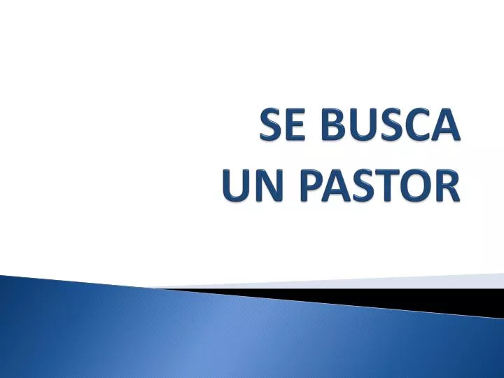 se busca un pastor