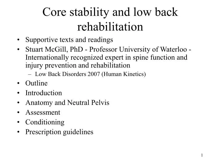 core stability and low back rehabilitation