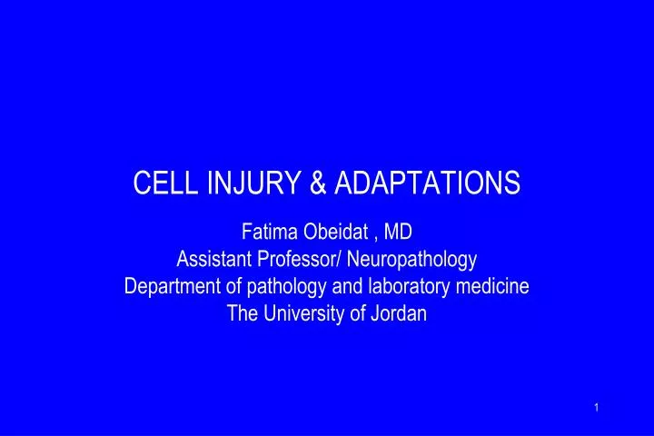 cell injury adaptations