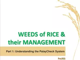 WEEDS of RICE &amp; their MANAGEMENT