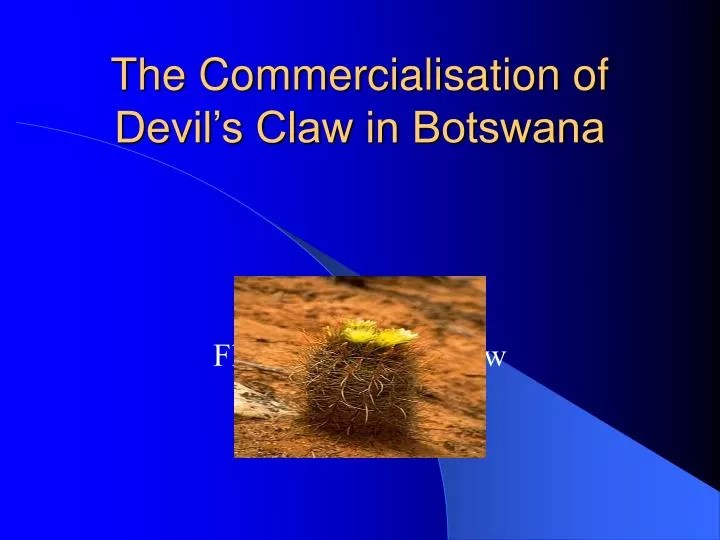 the commercialisation of devil s claw in botswana