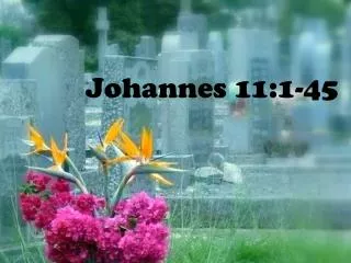 johannes 11 1 45