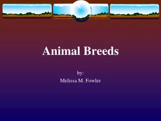 Animal Breeds