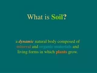 What is Soil ?
